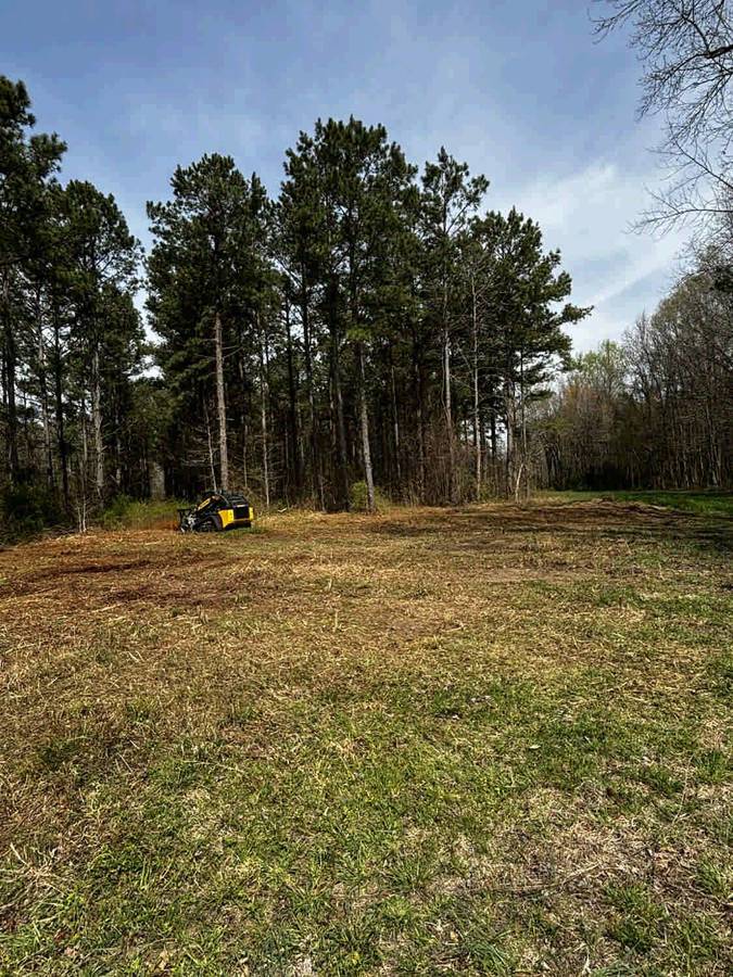 Field Cleared to Tree Line