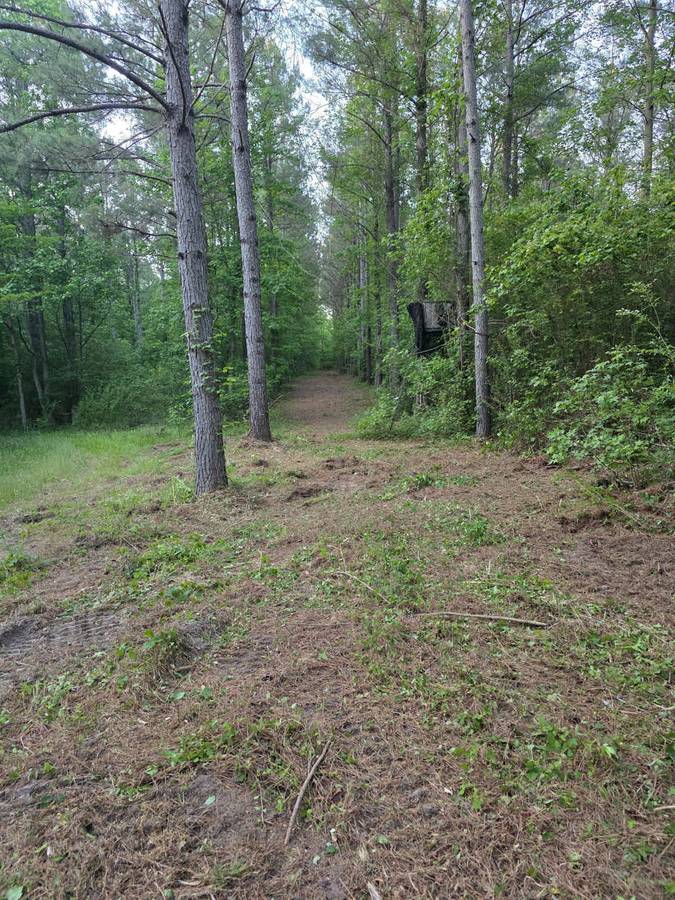 ATV Path Opened &mdash; Field & Forest Edge