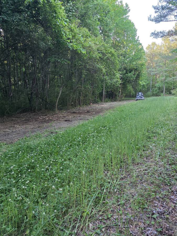 Trail Cut &mdash; Tarboro NC